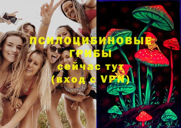 ECSTASY Белоозёрский