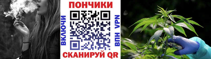 Бошки Шишки THC 21%  закладки  Жуков 
